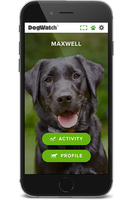 DogWatch of Southeast Ohio, Nashport, Ohio | SmartFence WebApp Image