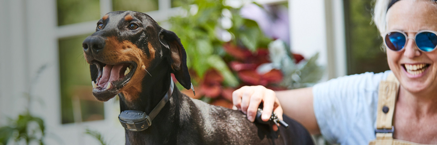DogWatch of Southeast Ohio, Nashport, Ohio | Remote Training Collars Slider Image